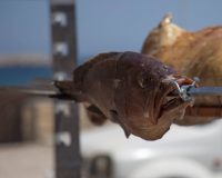 SardelesBBQ Fish.jpg